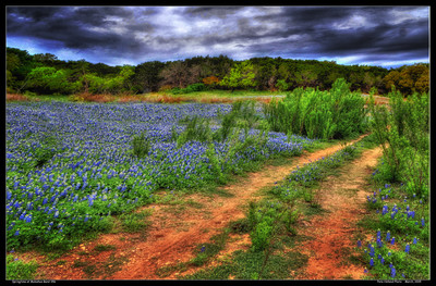 Springtime at Muleshoe Bend 356-Edit