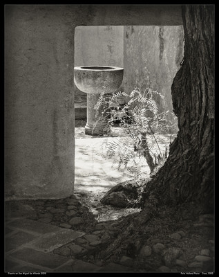 Fuente de San Miguel de Allende 5209-Edit