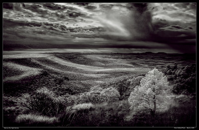 Rain on the High Sierras-Edit-2.