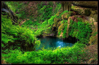 Westcave Preserve, Austin #116