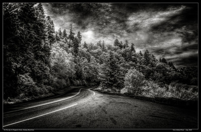 On the way to Clingman's Dome, Smokey Mountains