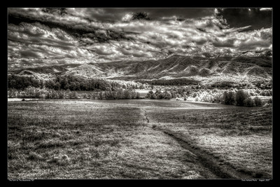 The Path to The Mountains 767