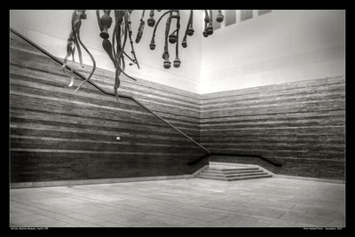 Atrium, Blanton Museum, Austin 785
