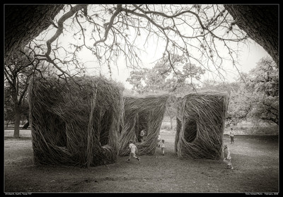 Stickwork, Austin, Texas 727