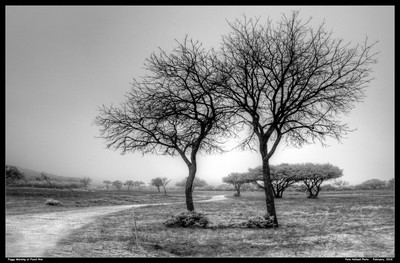 FoggyMorningAtFossilRimFEB2018