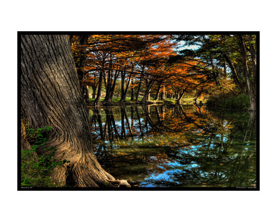 Bandera Autum 729.jpg