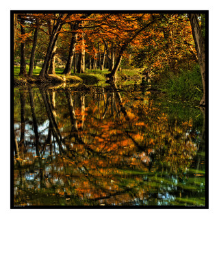 Bandera Autum 722.jpg