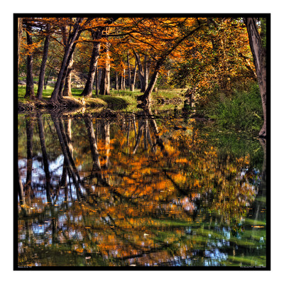 Bandera Autum 722_20x20.jpg