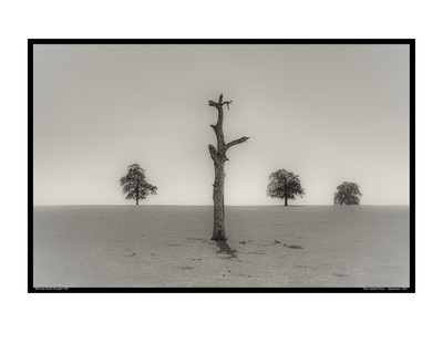 Bastrop County Drought 794